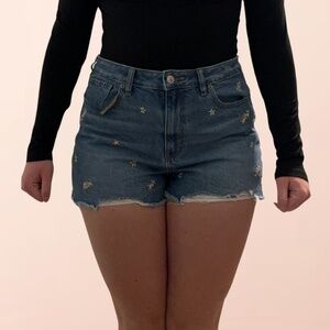 Women's American Eagle Flower Embroidered Jean Shorts